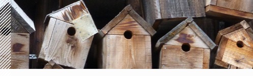 Vogelhäuser aus Holz